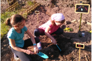 Lire la suite à propos de l’article Jardinage