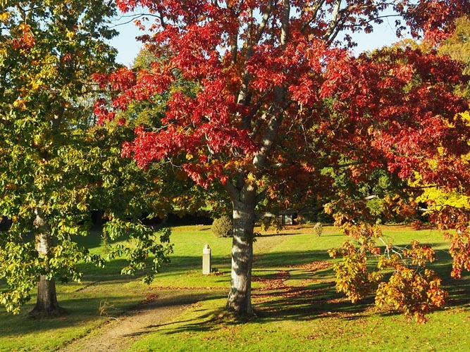 Couleurs d’automne