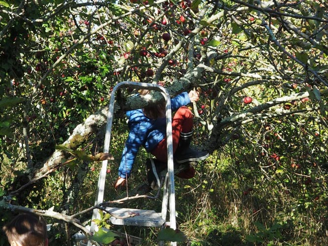 Après-midi jardinage